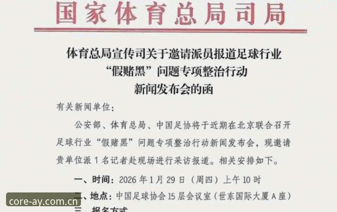 爱游戏安全下载教程 中国足协第三批禁足名单详解:17人终身禁赛,48人遭重罚